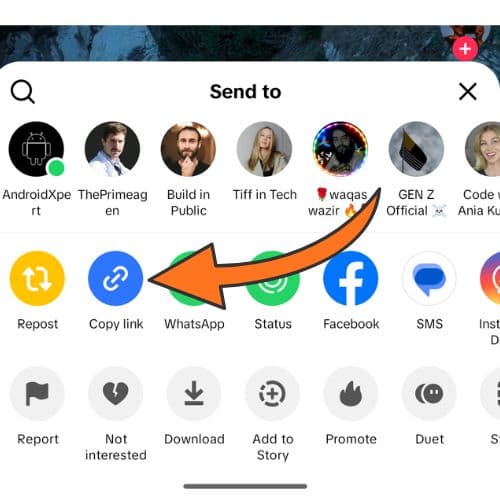 Tap Copy link in the TikTok share sheet