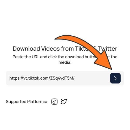 Paste the TikTok URL on Savku and tap download