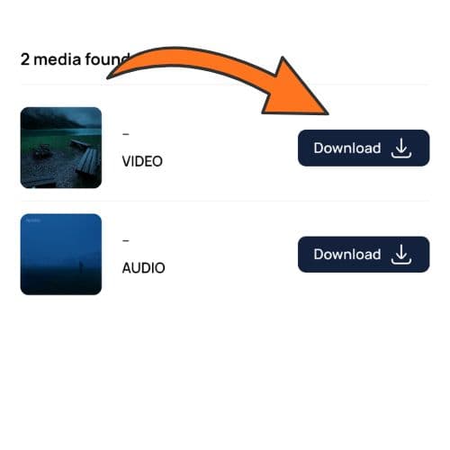 Download video or audio from the Savku results list